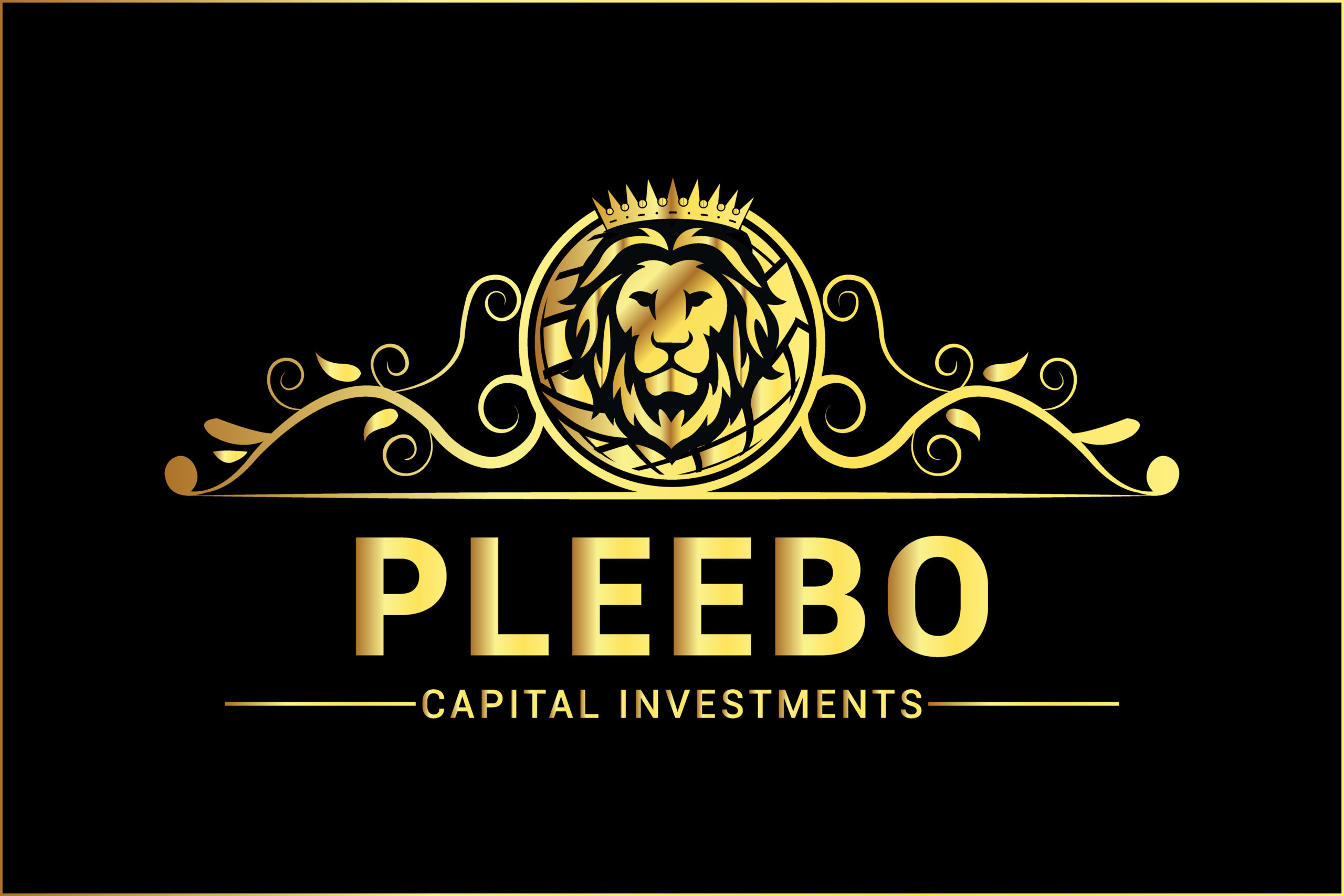 Pleebo Capital Investment